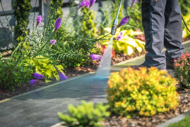 Best Residential Pressure Washing in Milton, WV